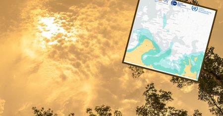 Pył saharyjski nad Polską. Żółty nalot na samochodach i parapetach