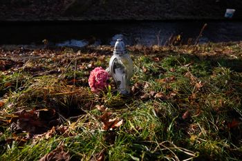 Pogrzeb 11-letniej Danusi. Rodzina ma jedną prośbę