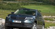 Znamy polską cenę Škody Kodiaq