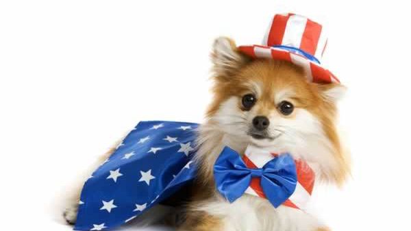 Amerykanie oddychają bakteriami z psich odchodów 1