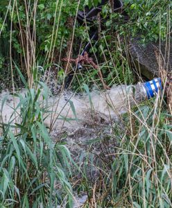 Mława. Wylewał nieczystości na terenie chronionego krajobrazu. Może trafić do więzienia