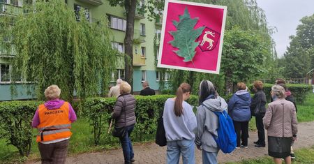 Liść ze "świętego" drzewa w Parczewie wystawiony na sprzedaż