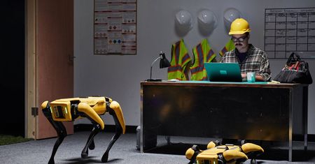Najsympatyczniejsze roboty świata znalazły nowy dom