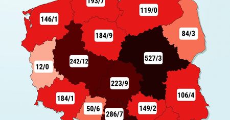 Koronawirus w Polsce. Najnowsze informacje Ministerstwa Zdrowia. Drastyczny wzrost