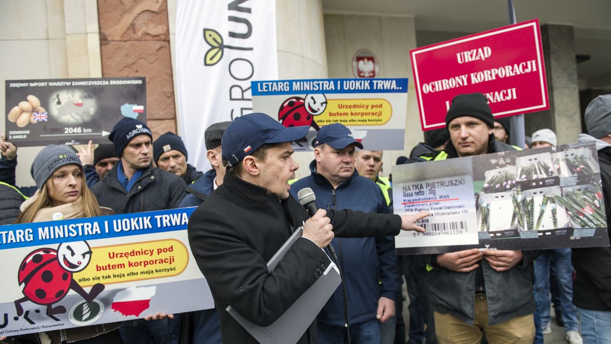 Błędnie oznakowana była co piąta partia warzyw i owoców, a podpisana jako rzekomo krajowa, co dziesiąta. UgroUnia protestowała już w lutym.