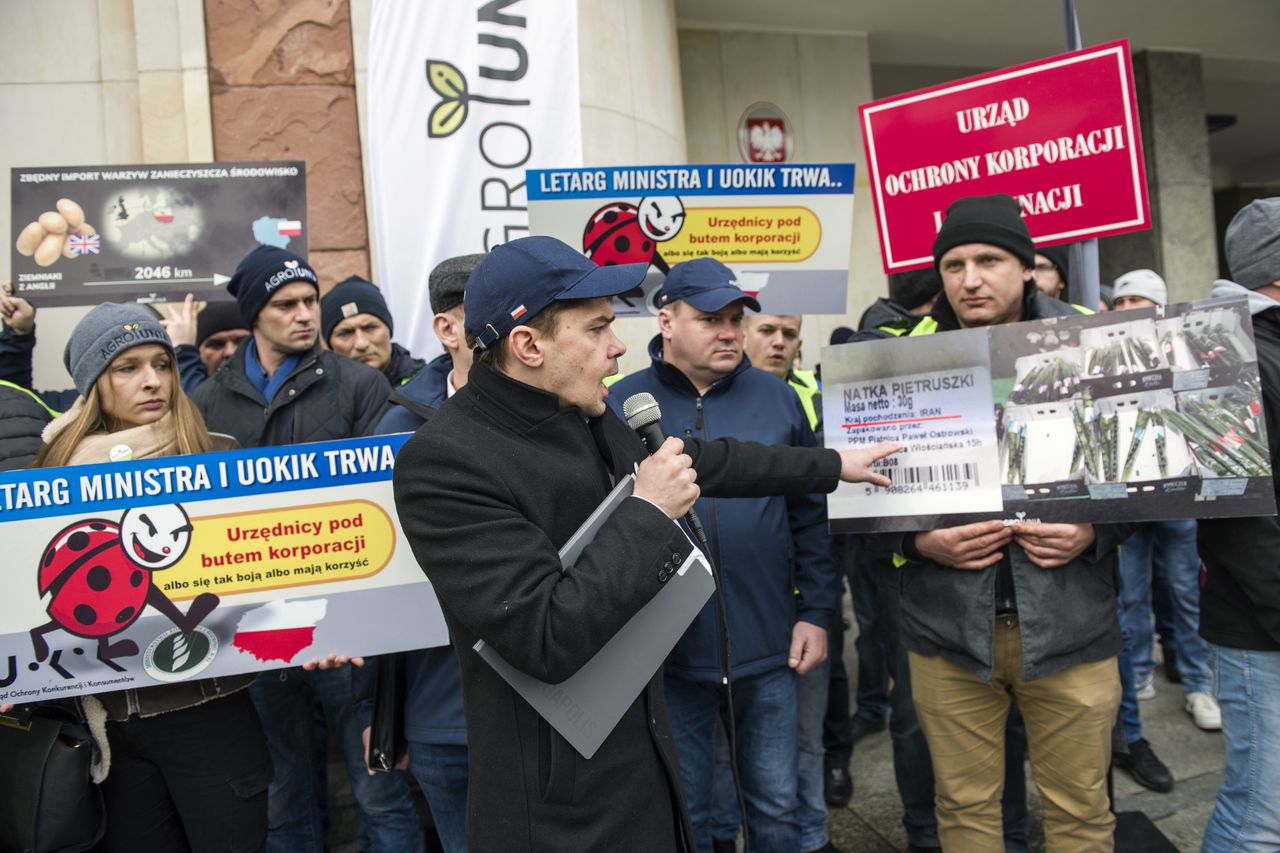 UOKiK grozi Biedronce karą. Holenderskie marchewki i francuską kapustę sprzedawała jako polskie