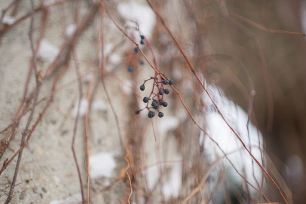 35mm, 1/500, f/1.4, ISO 100, RAW, Sony 35/1,4G