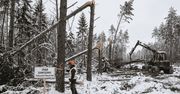 Bytów: Wody i lasy pod kontrolą – raport starostwa
