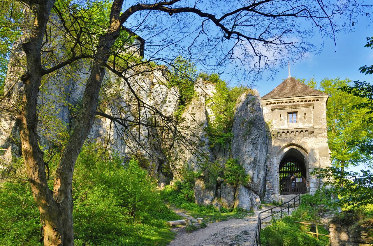 Ruiny Zamku w Ojcowie