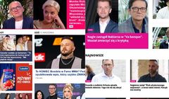 Pudelek znów przed Pomponikiem, Świat Gwiazd w górę. Kilka witryn ze spadkami