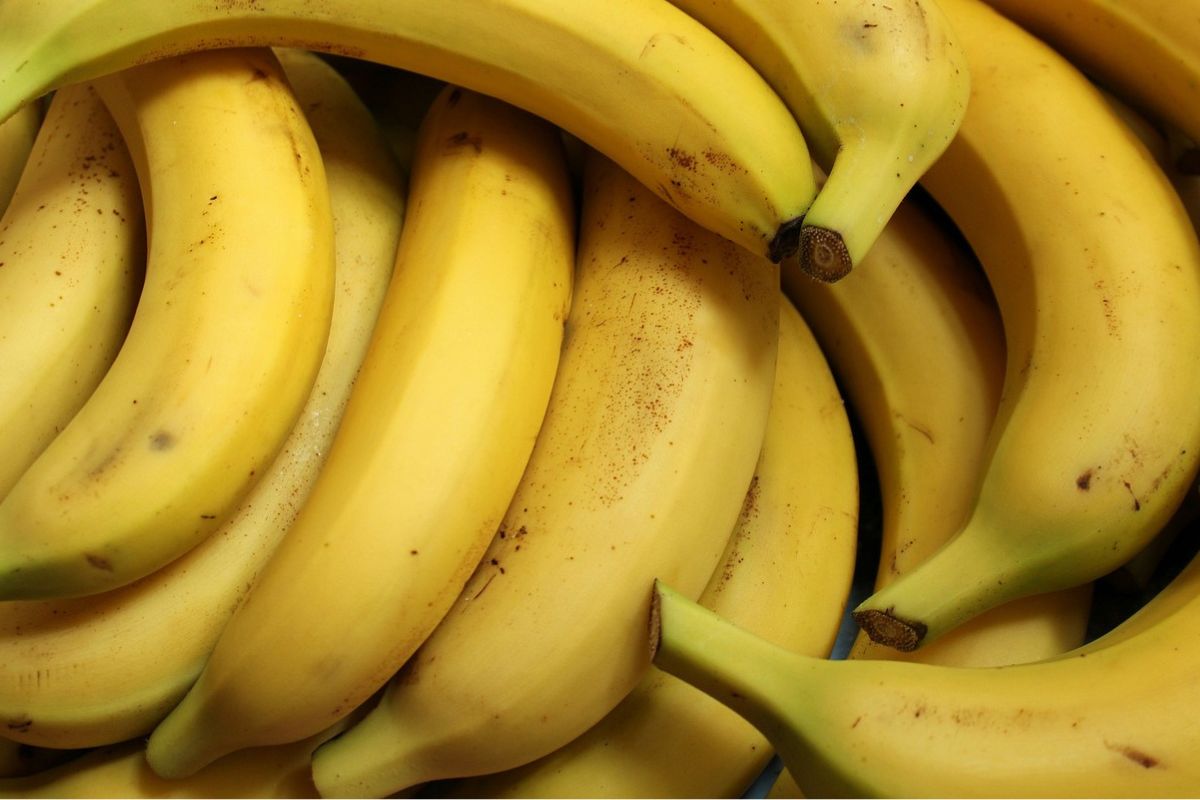 Kiedy banan jest zepsuty? 