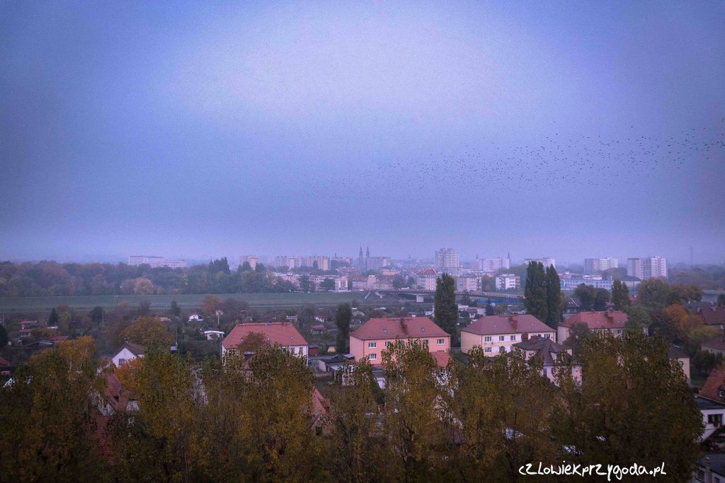 Paweł Szpala fotografował przez rok widok ze swojego okna. Inspiracja na zdjęcia 4 pór roku bez wychodzenia z domu 21