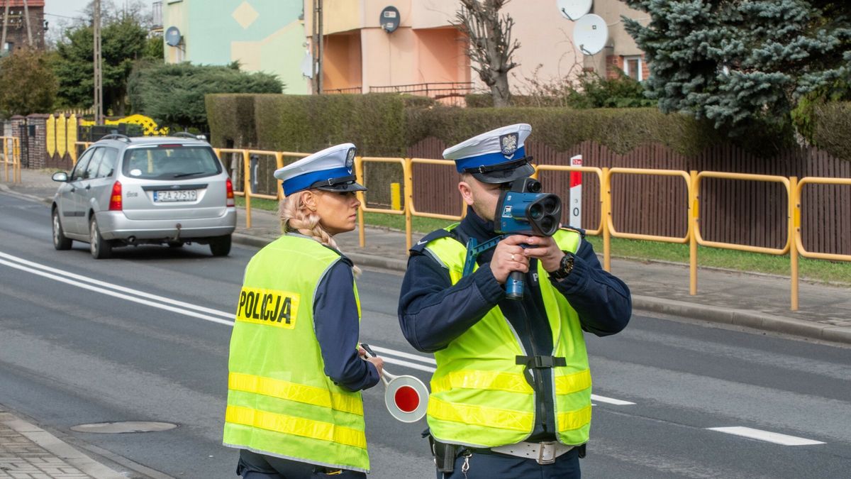 Ruszy?a akcja lubuskiej policji na DK12
Fot. NewsLubuski/East News, Zagan, 24.03.2023. Na drodze krajowej nr 12 w wojewodztwie lubuskim ruszyla wielka akcja policji. Mundurowi masowo kontroluja predkosc pojazdow oraz sprawdzaja sytuacje przy pomocy drona. W ruch poszly laserowe mierniki predkosci i radiowozy z wideorejestratorem. To poklosie ostatnich smiertelnych wypadkow na krajowce. N/z policjant z LTI 20/20 TruCAM
NewsLubuski