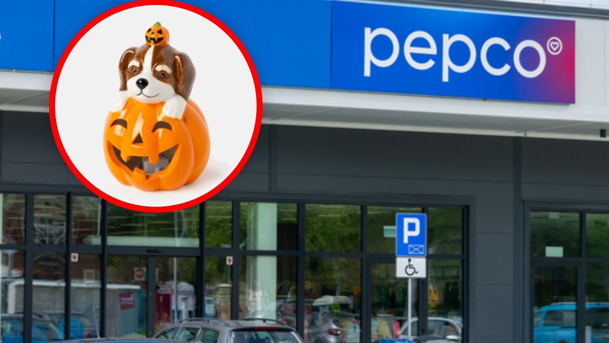 Promocje w Pepco