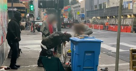 Plaga z USA dotrze do Polski? "Pytanie nie brzmi czy, tylko kiedy"