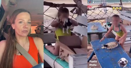 Siostra Zofii Zborowskiej odpowiada na zarzuty o MĘCZENIE KOTA: "Fala hejtu i GROŹBY, które dostałam, są nieproporcjonalne do zdarzenia"