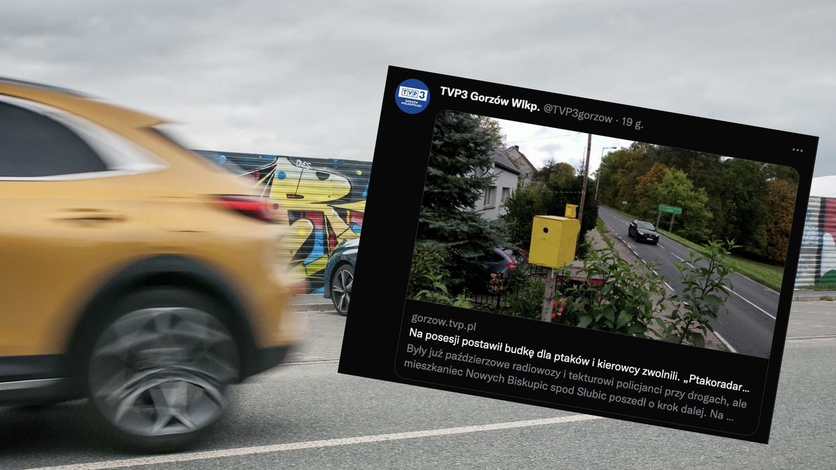 Pomysłowa budka budzi respekt wśród kierowców