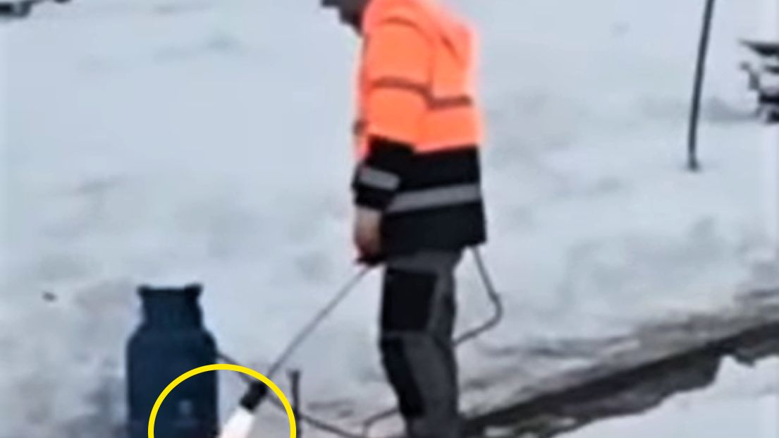 Pracownicy sadzili drzewka w śniegu i mrozie 