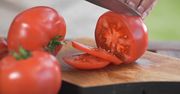 Przechowywanie pomidorów. Naukowcy: można je trzymać w lodówce