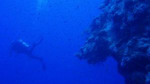 GULPER AUV - oceaniczny robot z oprogramowaniem łazików marsjańskich 1