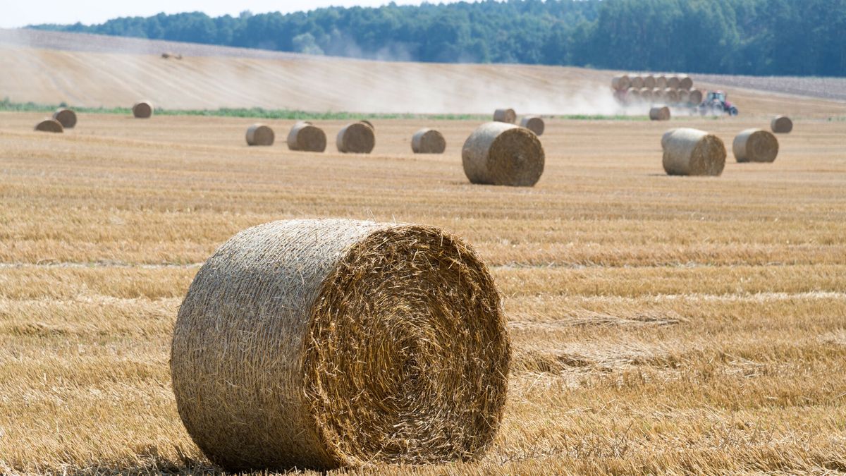 Emerytury stażowe nie dla rolników?