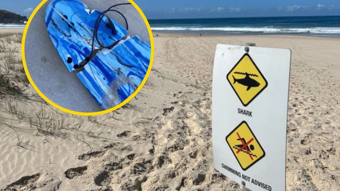 Surfer poważnie ranny po ataku rekina 