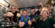 NASA wyhodowała w kosmosie paprykę. Astronauci zrobili z niej tacos