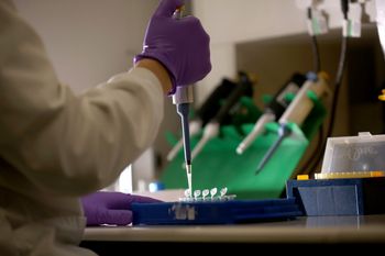 Skandal w banku spermy. Na jaw wyszły fakty o dawcy