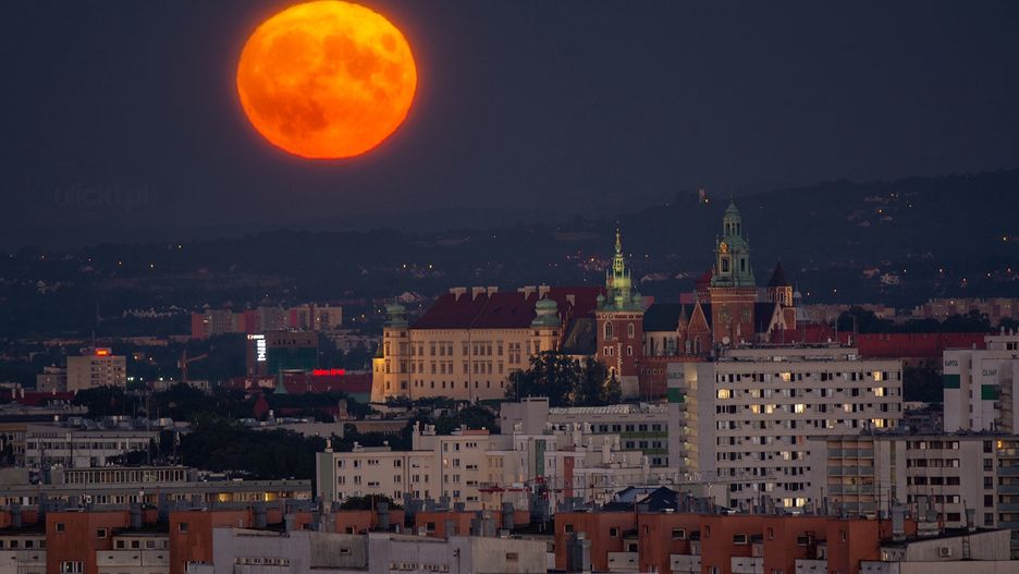 Jan Ulicki pochwalił się zdjęciem w mediach społecznościowych