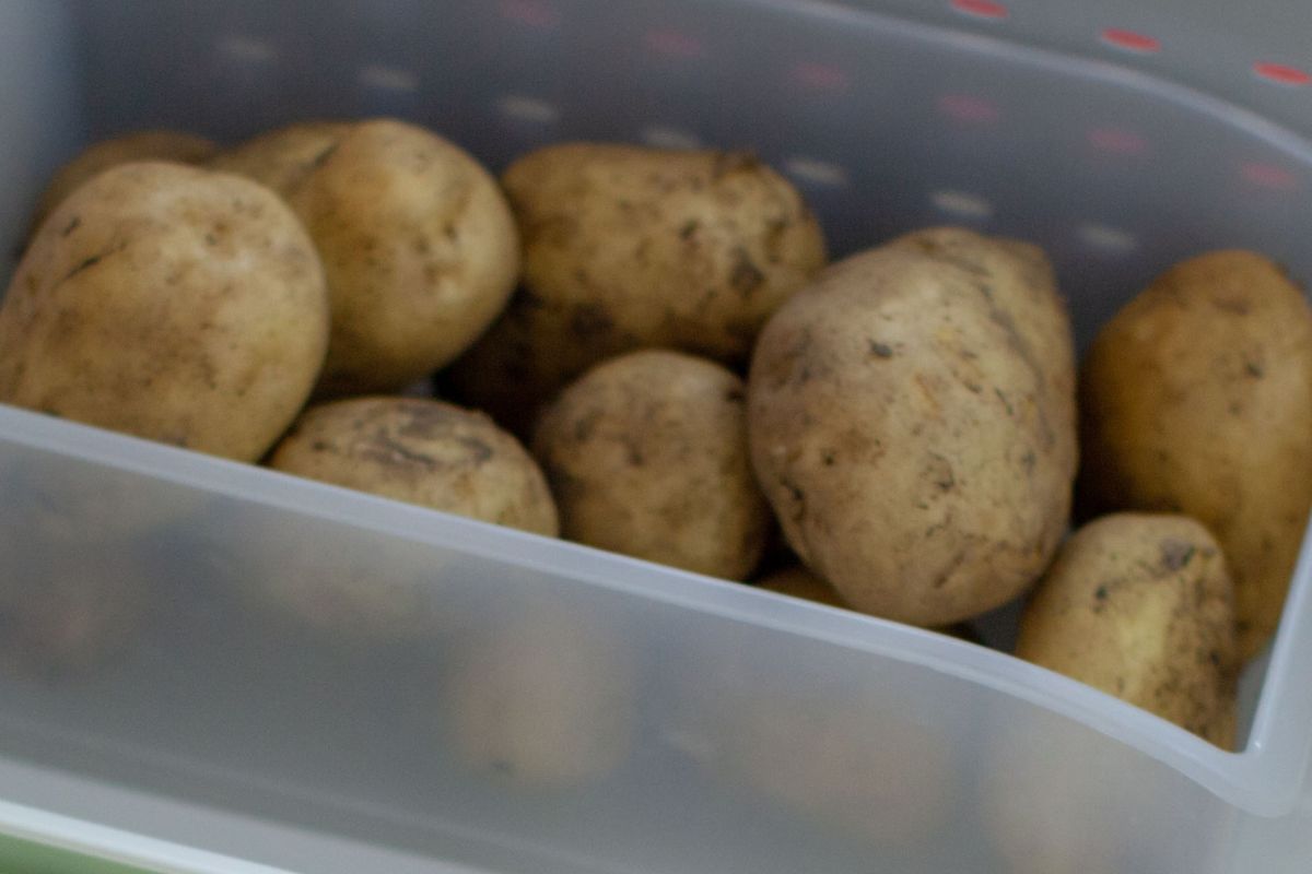 Dziadek ostrzegał przed takim przechowywaniem ziemniaków