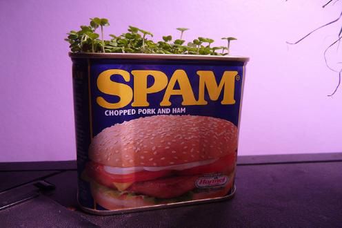 Spam (Fot. Flickr/Sean Murray/Lic. CC by)