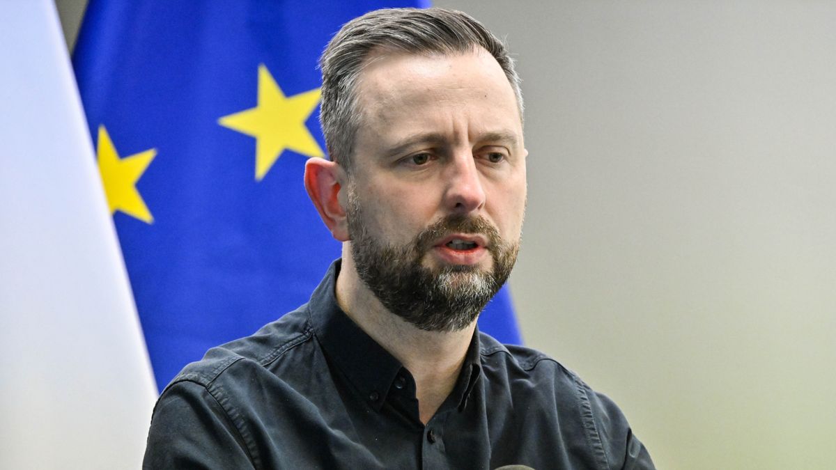 Władysław Kosiniak-Kamysz mówi o przyszłości programu SAFE