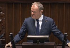 "Nie będę was nudził ustaleniami". Krzyki w Sejmie po słowach Tuska