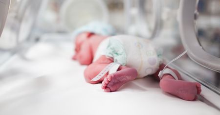 Dzieci rodzą się bez rąk. Francuzi są przerażeni
