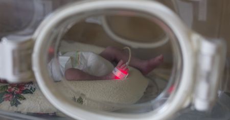 Sześcioraczki w Krakowie. Prawie 50 tys. zł rocznie dla rodziców