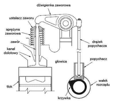 Zdjęcie ilustracyjne do artykułu