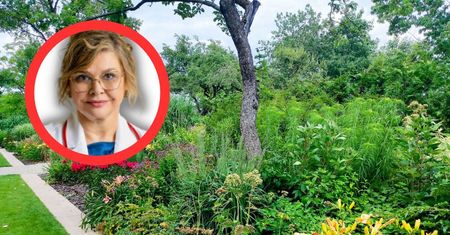 Tę roślinę warto wykopać z ogrodu. Nie tylko ze względu na wysoką karę