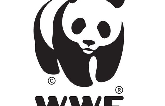 WWF Polska szuka agencji PR na czas kampanii parlamentarnej