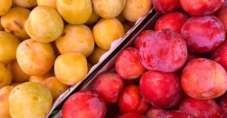 Chcesz mieć zdrowe serce i pożegnać boczki? Jedz na kilogramy, bo to najzdrowsza odmiana śliwek