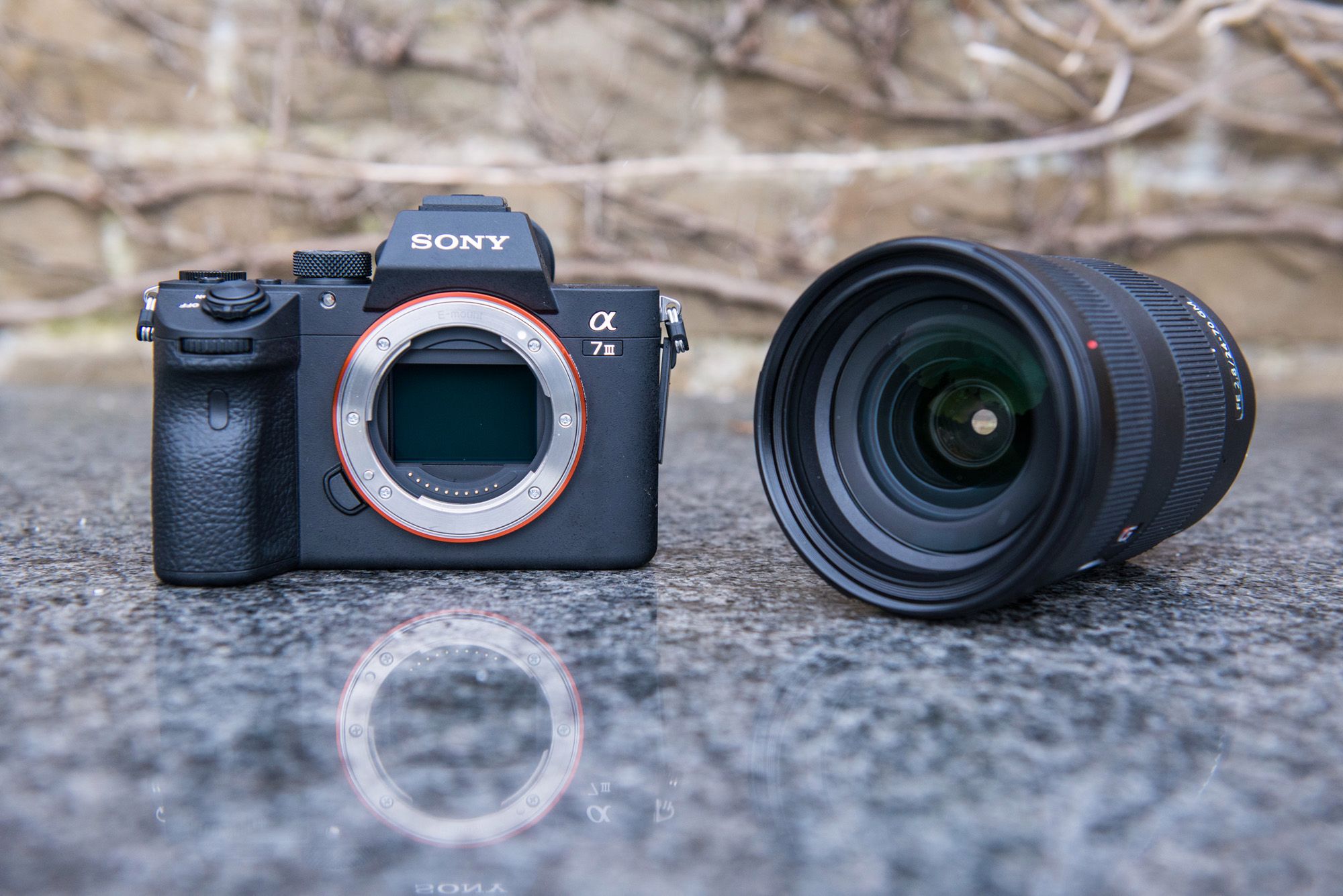 Sony A7 III, czyli podstawowa pełna klatka dla profesjonalistów - pierwsze wrażenia i zdjęcia przykładowe 13