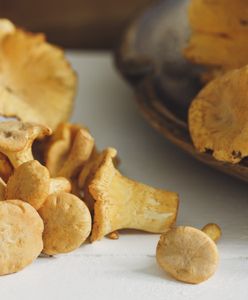 Kurki trafiły do dyskontów. Cena zwala z nóg