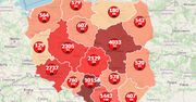 Koronawirus w Polsce. Blisko 1200 ofiar śmiertelnych. Oto aktualna mapa zarażeń