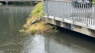 Opady deszczu w Warszawie. Służby monitorują sytuację