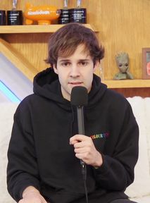David Dobrik nagrał przeprosiny, z których nic nie wynika