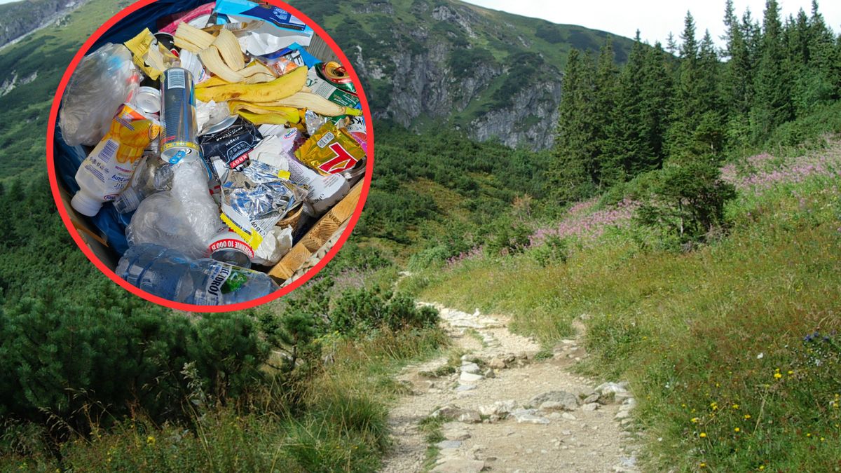 Niepozorne zdjęcie wywołało burzę komentarzy