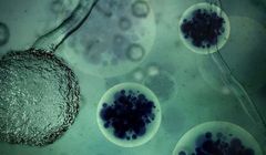 Discovery wyemituje serial dokumentalny „Wirus - niewidzialny zabójca”