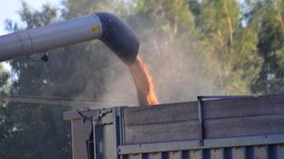 Aktywny rolnik pod lupą. Nowe przepisy dzielą branżę