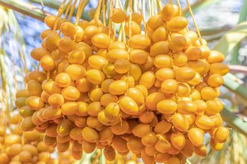 Jedz regularnie, a zrobisz największą przysługę swojemu sercu i jelitom. Naturalna dawka błonnika i energii