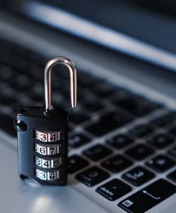 Więcej funduszy na cyberbezpieczeństwo. Wyniki sondażu