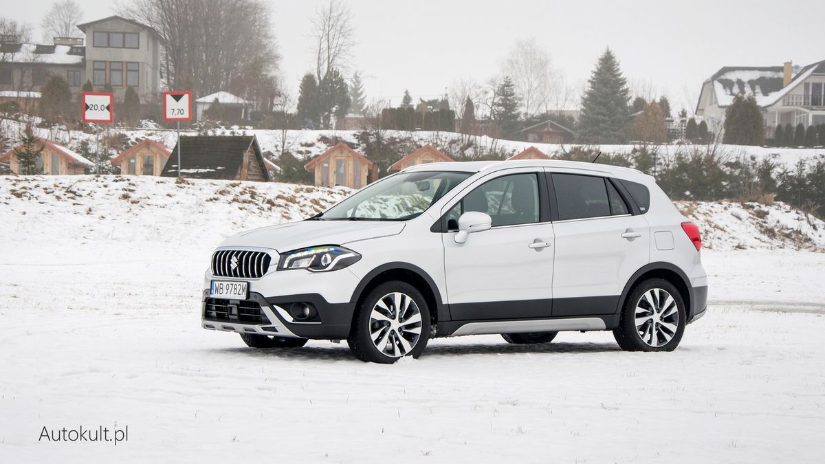 Zdjęcie ilustracyjne do artykułu